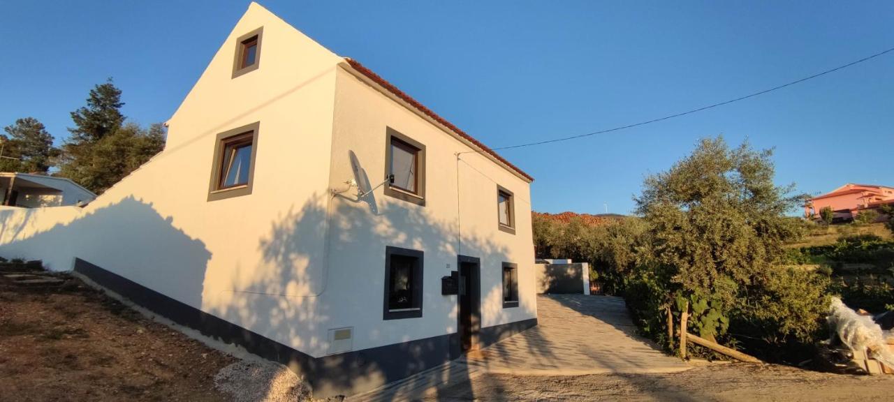 Pomar Das Oliveiras - Private Swimming Pool - Free Ev Chrg - Pet Friendly Carvalhal  Buitenkant foto
