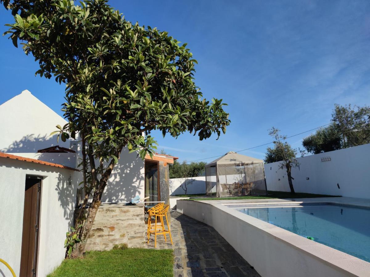 Pomar Das Oliveiras - Private Swimming Pool - Free Ev Chrg - Pet Friendly Carvalhal  Buitenkant foto
