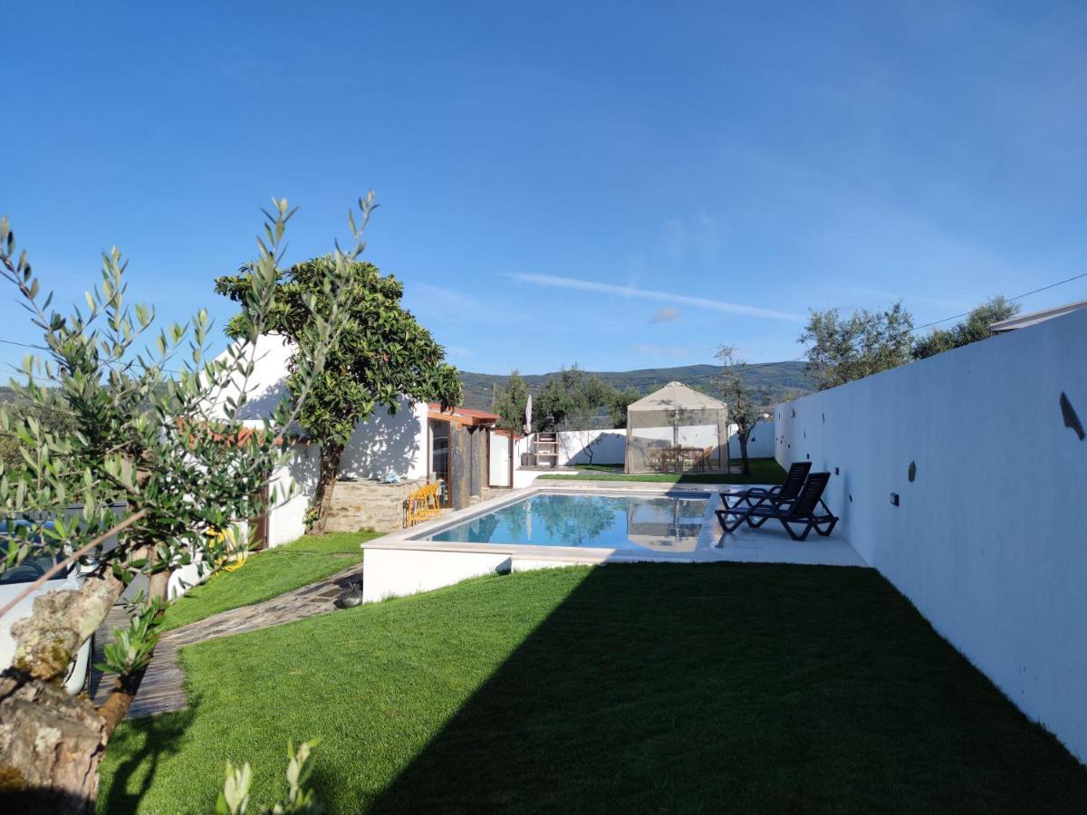 Pomar Das Oliveiras - Private Swimming Pool - Free Ev Chrg - Pet Friendly Carvalhal  Buitenkant foto