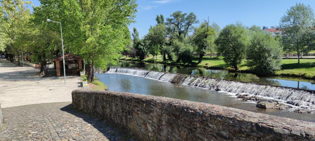 Pomar Das Oliveiras - Private Swimming Pool - Free Ev Chrg - Pet Friendly Carvalhal  Buitenkant foto