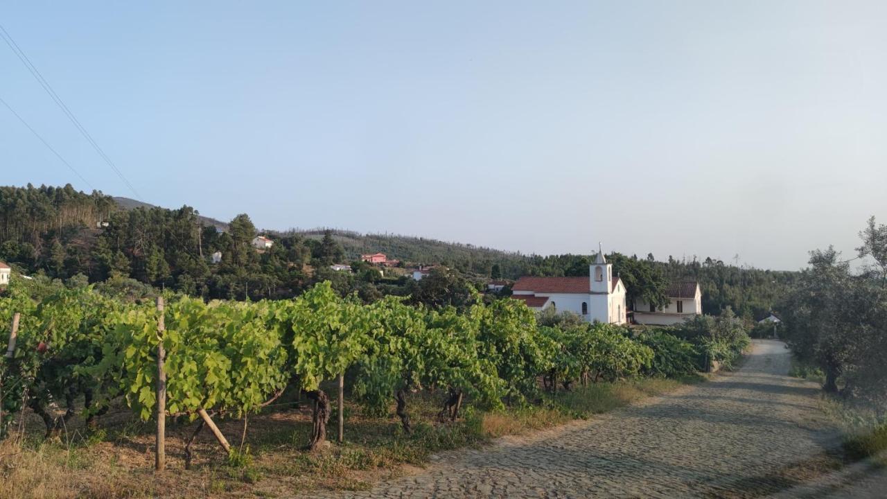 Pomar Das Oliveiras - Private Swimming Pool - Free Ev Chrg - Pet Friendly Carvalhal  Buitenkant foto